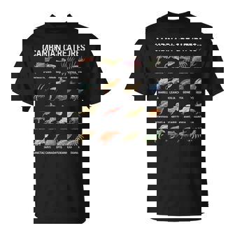 カンブリア紀の生き物チャート–先史時代の海洋生物アート Tシャツ - Kawaiitshirt