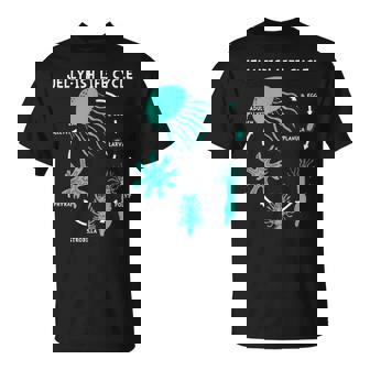 クラゲのライフサイクル Tシャツ - Kawaiitshirt