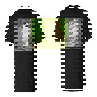 猫 フクロウ 面白い 呪われた Hello Bro Brainrot Meowl Hiro Meme Tシャツ - Kawaiitshirt