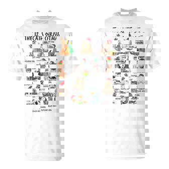 12 Cats Of Christmas Christmas Cat Lover Xmas Holiday T-Shirt - Thegiftio