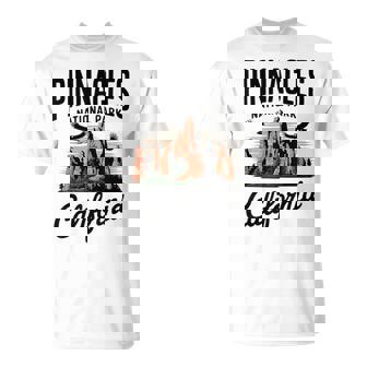 Pinnacles National Park California Adventure T-Shirt | Mazezy