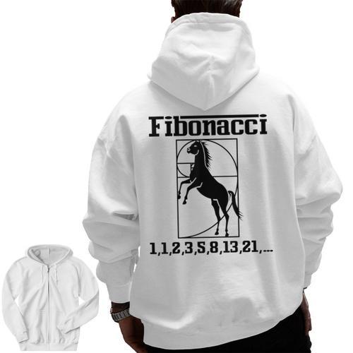 Nerdy Fibonacci Racing Car Horse Math Teacher Men Women Girls Kids Men Zip Up Hoodie Back Print - teacherstshirts.com DE