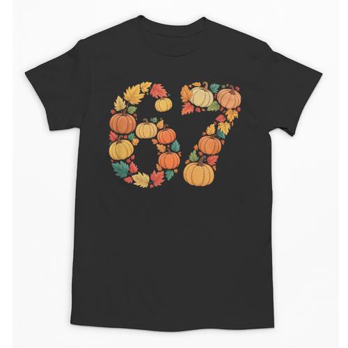 67 6 7 Fall Leaves For Teachers 67 Teacher Unisex T-Shirt - teacherstshirts.com AU