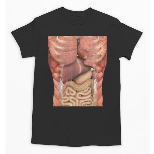 Human Muscles Organs Scary Anatomy Teacher Halloween Costume Unisex T-Shirt - teacherstshirts.com