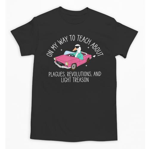 History Teacher Silly Goose Back To School Social Studies Unisex T-Shirt - teacherstshirts.com AU
