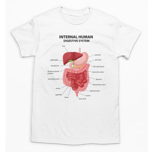 Digestive System Anatomy Anatomical Biology Teacher Men Women Unisex T-Shirt - teacherstshirts.com