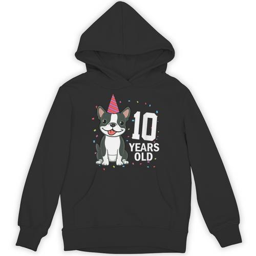 10 Years Old Birthday Boston Terrier Dog Lover 10th Party For Men Women Kids Unisex Hoodie - Bostonterriersmerch.com