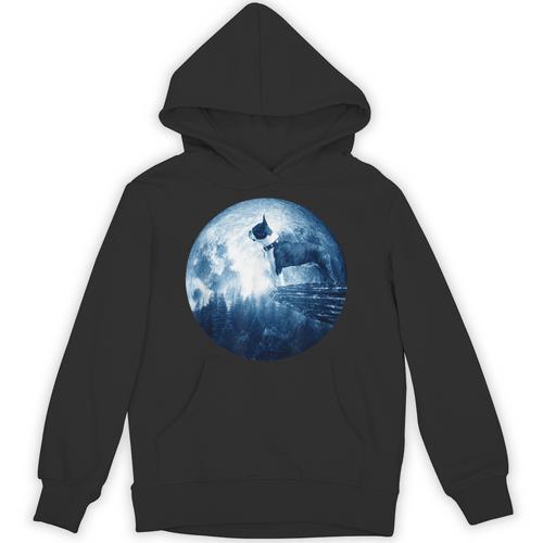 Boston Terrier Dog Moon Dog Mom Dad Women Men Dog Lovers Unisex Hoodie - Bostonterriersmerch.com