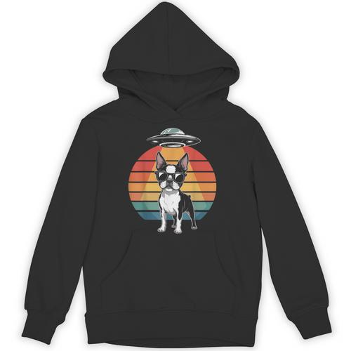 Boston Terrier UFO Alien Boston Terrier Dog Mom Dad Unisex Hoodie - Bostonterriersmerch.com