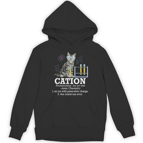 Cation Chemistry Humor Science Teacher Cat Pun Unisex Hoodie - teacherstshirts.com AU
