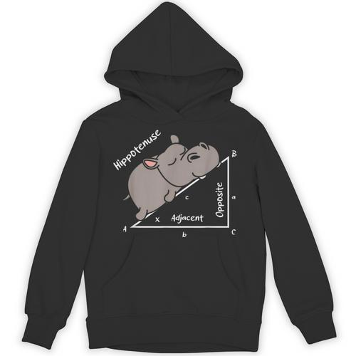 Hippotenuse Hippo Angle Function Hypotenuse Math Teacher Unisex Hoodie - teacherstshirts.com AU