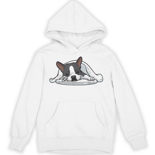 Boston Terrier Dog Official Sleeping Men Women Girls Kids Unisex Hoodie - Bostonterriersmerch.com