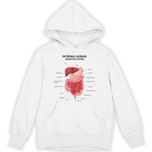 Digestive System Anatomy Anatomical Biology Teacher Men Women Unisex Hoodie - teacherstshirts.com DE