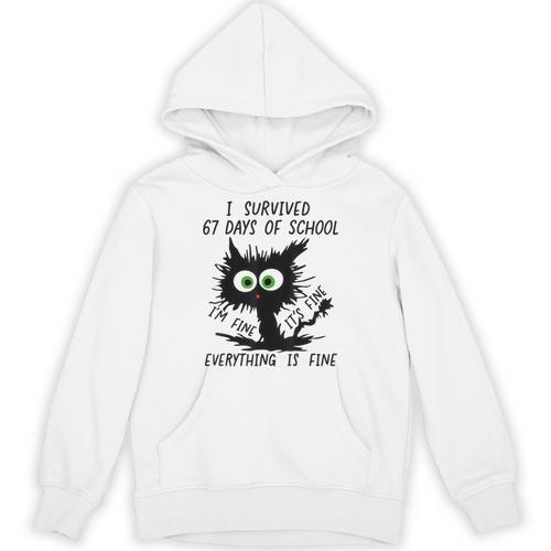 I Survived 67 Days Of School Teachers Students Humor Unisex Hoodie - teacherstshirts.com AU