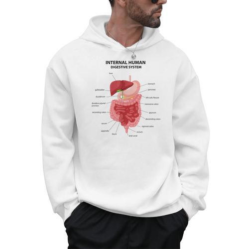 Digestive System Anatomy Anatomical Biology Teacher Men Women Men Hoodie - teacherstshirts.com DE