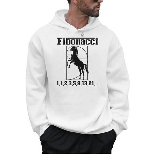 Nerdy Fibonacci Racing Car Horse Math Teacher Men Women Girls Kids Men Hoodie - teacherstshirts.com DE