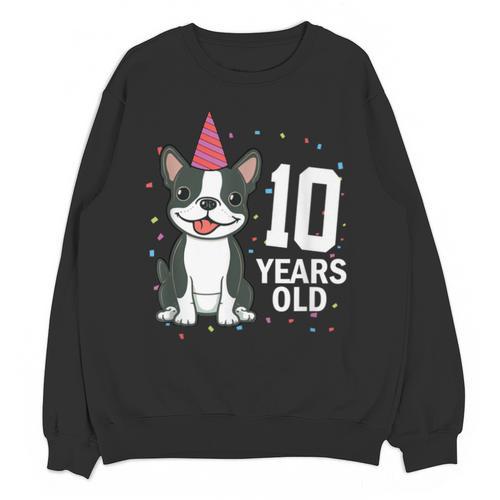 10 Years Old Birthday Boston Terrier Dog Lover 10th Party For Men Women Kids Unisex Sweatshirt - Bostonterriersmerch.com