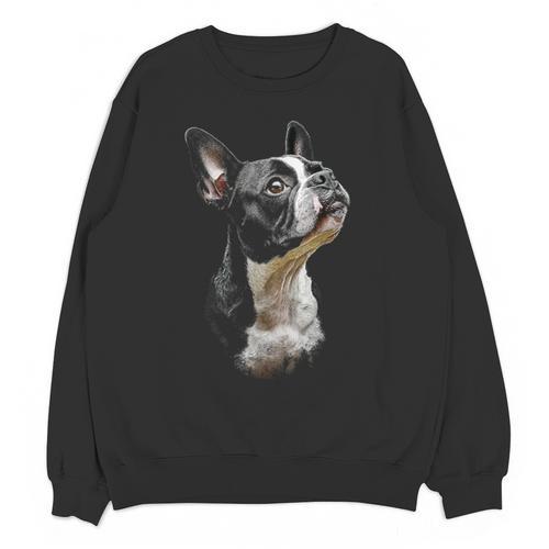 Boston Terrier Dog Graphic Pet Art Boston Terrier For Men Women Kids Unisex Sweatshirt - Bostonterriersmerch.com