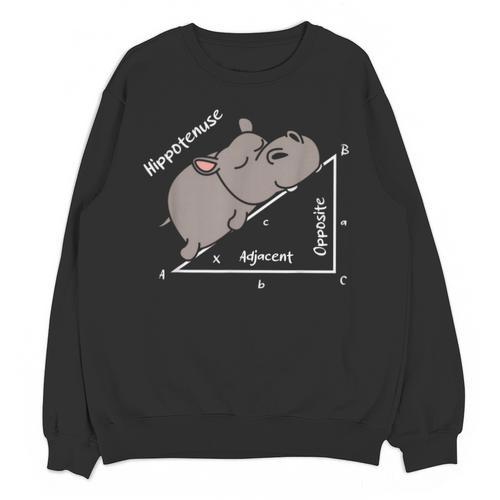 Hippotenuse Hippo Angle Function Hypotenuse Math Teacher Unisex Sweatshirt - teacherstshirts.com