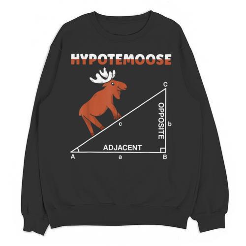 Hypotemoose Mathematics Teacher Mathematician Math Geek Unisex Sweatshirt - teacherstshirts.com AU