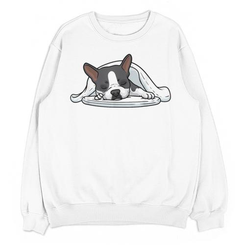 Boston Terrier Dog Official Sleeping Men Women Girls Kids Unisex Sweatshirt - Bostonterriersmerch.com