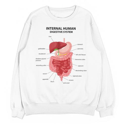 Digestive System Anatomy Anatomical Biology Teacher Men Women Unisex Sweatshirt - teacherstshirts.com CA