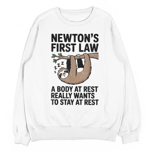 Newtons First Law Physics Jokes Science Teacher Unisex Sweatshirt - teacherstshirts.com AU