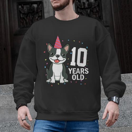 10 Years Old Birthday Boston Terrier Dog Lover 10th Party For Men Women Kids Men Graphic Sweatshirt - Bostonterriersmerch.com