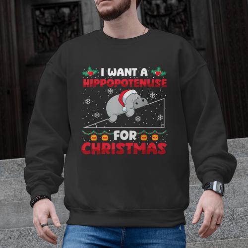 Christmas Math Teacher Hippopotenuse Math Lovers Xmas Men Graphic Sweatshirt - teacherstshirts.com