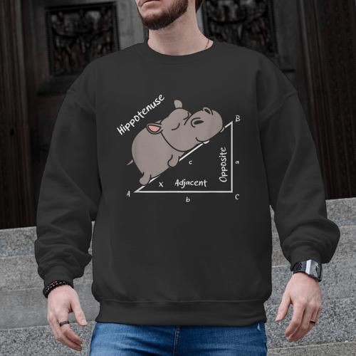 Hippotenuse Hippo Angle Function Hypotenuse Math Teacher Men Graphic Sweatshirt - teacherstshirts.com AU
