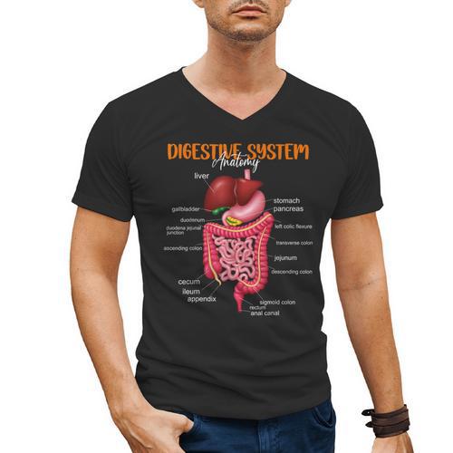 Digestive System Anatomy Anatomical Biology Teacher Men's V-Neck T-Shirt - teacherstshirts.com DE