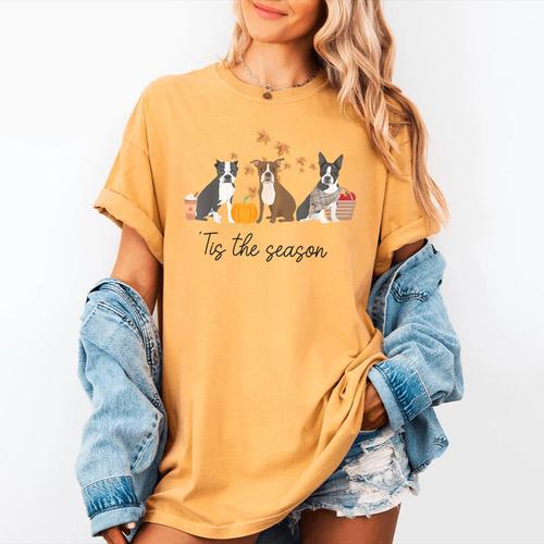 Boston Terrier Fall Pumpkin Tis The Season Autumn Women Women's Comfort Colors T-Shirt - Bostonterriersmerch.com