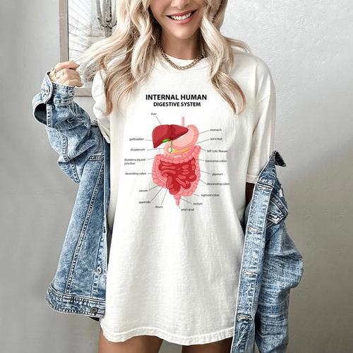 Digestive System Anatomy Anatomical Biology Teacher Men Women Women's Comfort Colors T-Shirt - teacherstshirts.com DE