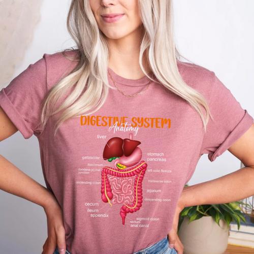Digestive System Anatomy Anatomical Biology Teacher Women's Heather T-Shirt - teacherstshirts.com UK