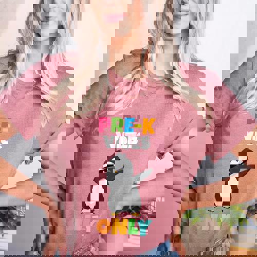 Pre-K Vibes Only Penguin Teachers Kids Back To School Women&#x27;s Heather T-Shirt - teacherstshirts.com