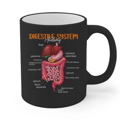 Digestive System Anatomy Anatomical Biology Teacher Graphic Print Coffee Mug - teacherstshirts.com CA