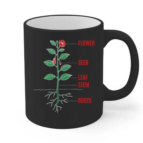 Parts Of a Plant Science For Teachers Kids And Students Graphic Print Coffee Mug - teacherstshirts.com