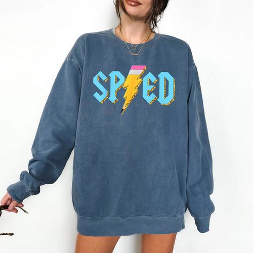 Special Education SPED Rocks Teacher Back To School Rock Comfort Colors Sweatshirt - teacherstshirts.com DE