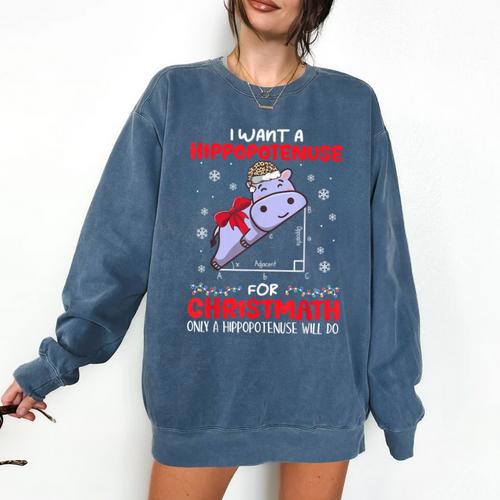 I Want A Hippopotenuse For Christmath Math Teacher Christmas Comfort Colors Sweatshirt - teacherstshirts.com AU