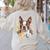 Floral Boston Terrier Women's Sweatshirt Back Print Sand