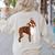 Red Boston Terrier Dog Women's Sweatshirt Back Print Sand
