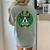 Boston Terrier Dog St Patricks Day Irish Pet Lover Men Women Kids Women's Comfort Colors T-Shirt Back Print Bay