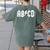 Boys Girls Teachers ABCD Rock Graphic Back To School Women's Comfort Colors T-Shirt Back Print Moss Boys Girls Teachers ABCD Rock Graphic Back To School Women's Comfort Colors T-Shirt Back Print Moss