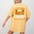 I Don't Need A Costume I'm Math Teacher Costume Halloween Women's Comfort Colors T-Shirt Back Print Mustard