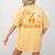 I Don't Need A Costume I'm A Pe Teacher Halloween Men Women Women's Comfort Colors T-Shirt Back Print Mustard