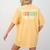 Special Education Teacher SPED Sorry I Can't IEPS Are Due Women's Comfort Colors T-Shirt Back Print Mustard Special Education Teacher SPED Sorry I Can't IEPS Are Due Women's Comfort Colors T-Shirt Back Print Mustard