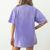 FCS Teacher Family And Consumer Sciences Minimalist Teacher Women's Comfort Colors T-Shirt Back Print Violet
