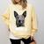 4th July Blue Heeler Dog Merica Patriotic USA Flag Cute Comfort Colors Sweatshirt Butter