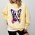 Boston Terrier Lover Pop Art Color Boston Terrier Dog For Men Women Girls Kids Comfort Colors Sweatshirt Butter