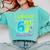 I Survived 67 Days Of School 67 Meme Science Teacher Comfort Colors Sweatshirt Chalky Mint I Survived 67 Days Of School 67 Meme Science Teacher Comfort Colors Sweatshirt Chalky Mint
